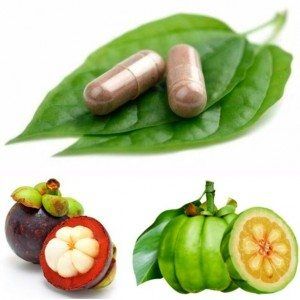 Que es Garcinia Cambogia - El tamarindo malabar (Garcinia gummi-gutta)